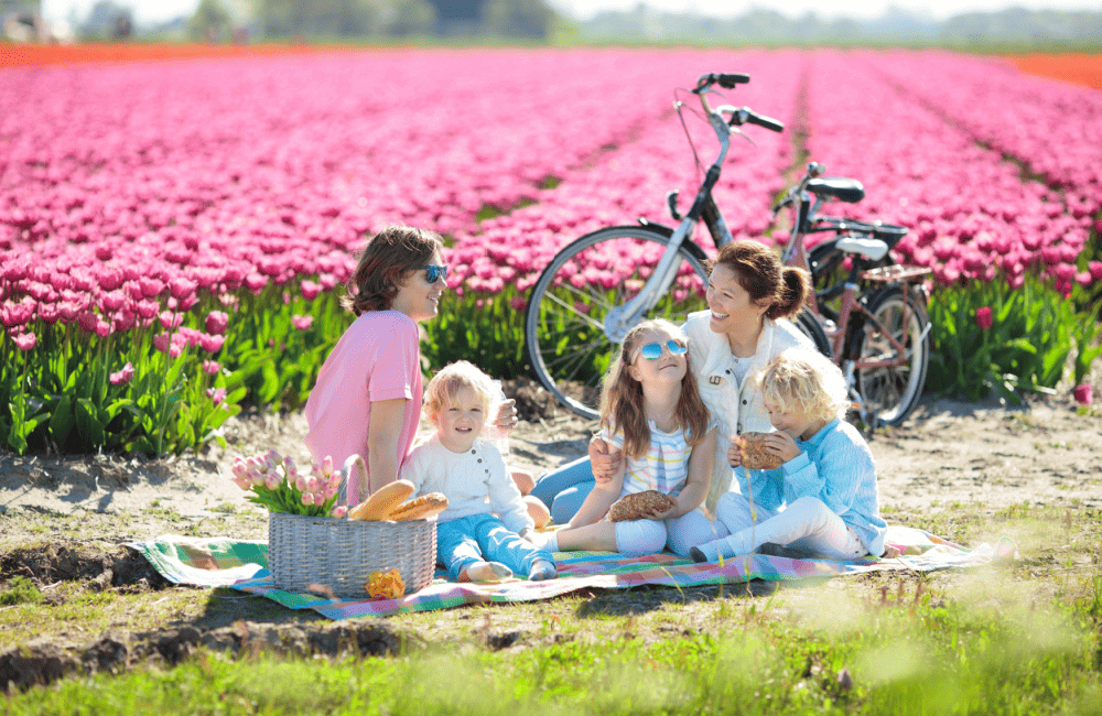 družinska potovanja na Nizozemsko